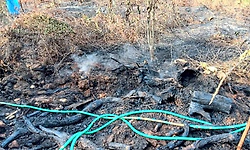 ಬೆಳ್ಳಾರೆ: ಅಡಿಕೆ–ರಬ್ಬರ್ ತೋಟಕ್ಕೆ ಬೆಂಕಿ