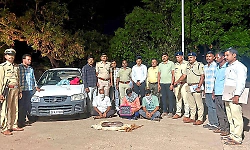 Rare Red Sand Boa smuggling uncovered in Bidar; three arrested