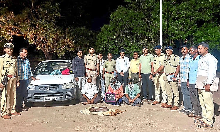 Rare Red Sand Boa smuggling uncovered in Bidar; three arrested