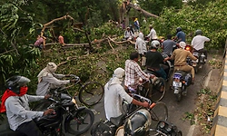 Unseasonal storm wreaks havoc in UP, 100 dead across multiple districts