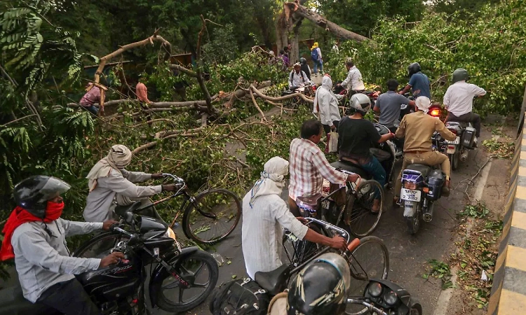Unseasonal storm wreaks havoc in UP, 100 dead across multiple districts