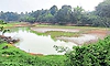 Kadaba: ಬರಿದಾಗುತ್ತಿದೆ ಕೆರೆಗಳ ಒಡಲು
