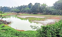 Kadaba: ಬರಿದಾಗುತ್ತಿದೆ ಕೆರೆಗಳ ಒಡಲು
