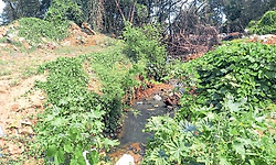 ಫೆರ್ರಿ ವಾರ್ಡ್‌ಗೆ ಕೊಳಚೆ ನೀರು,ಮಲತ್ಯಾಜ್ಯ ಕಿರಿಕಿರಿ
