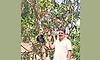 ಜಗತ್ತಿನ ದುಬಾರಿ ಮಾವು ತಾರೀಕಟ್ಟೆ ತೋಟದಲ್ಲಿ!