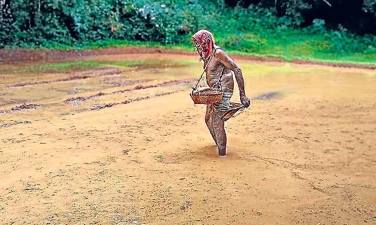 Karkala: At 90, Shivanna Shetty continues to find purpose in farming