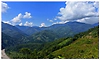 Rare bee species discovered in Arunachal's Siang Valley