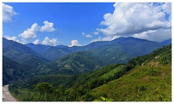 Rare bee species discovered in Arunachal's Siang Valley