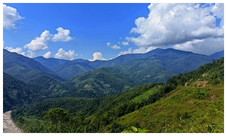 Rare bee species discovered in Arunachal's Siang Valley