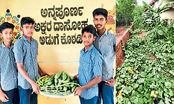 ಬೆಟ್ಟಂಪಾಡಿ ನವೋದಯದಲ್ಲಿ ಸಾವಯವ ದಾಸೋಹ!