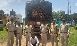 Kottigehara: ಅಕ್ರಮ ಟೀಕ್ ಮರದ ದಿಮ್ಮಿ ಸಂಗ್ರಹ: 17.70 ಲಕ್ಷ ರೂ. ಮೌಲ್ಯದ ಮರ, ವಾಹನ ಜಪ್ತಿ