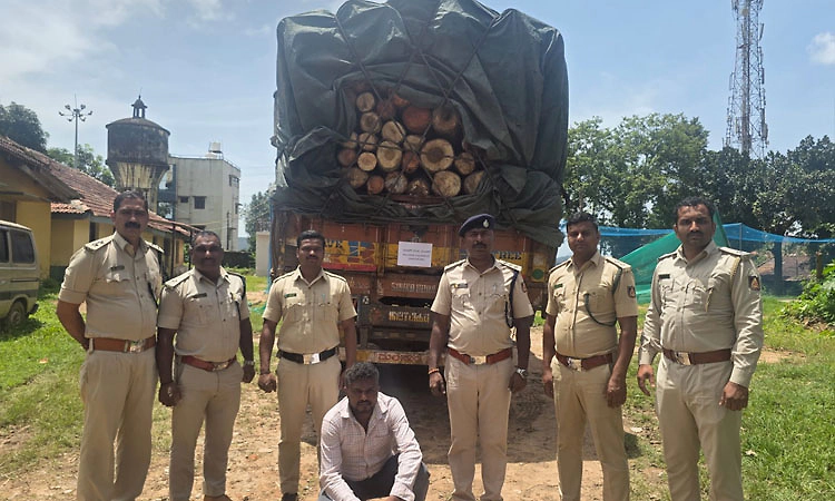 Kottigehara: ಅಕ್ರಮ ಟೀಕ್ ಮರದ ದಿಮ್ಮಿ ಸಂಗ್ರಹ: 17.70 ಲಕ್ಷ ರೂ. ಮೌಲ್ಯದ ಮರ, ವಾಹನ ಜಪ್ತಿ