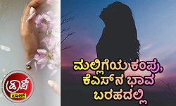 Drop Box: ಮಲ್ಲಿಗೆಯ ಕಂಪು, ಕೆಎಸ್‌ನ ಭಾವ ಬರಹದಲ್ಲಿ