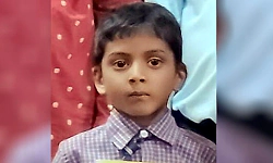 Sagar: 8-year-old boy dies after wasp attack