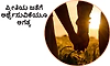 ಪ್ರೀತಿಯ ಜತೆಗೆ ಅರ್ಥೈಸುವಿಕೆಯೂ ಅಗತ್ಯ