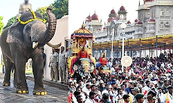 Mysuru Dasara: Prashanth to carry golden howdah in Jumboo Savari