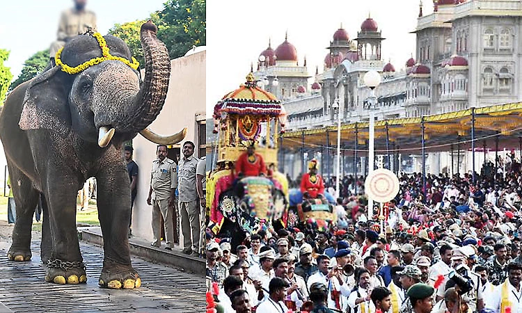 Mysuru Dasara: Prashanth to carry golden howdah in Jumboo Savari