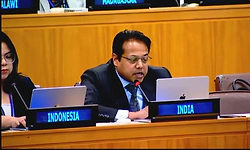 India urges UN human rights mechanisms to avoid politicisation, selectivity