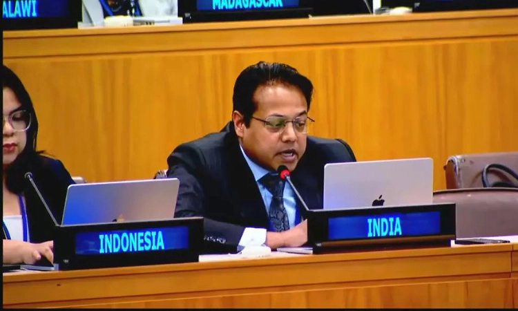 India urges UN human rights mechanisms to avoid politicisation, selectivity