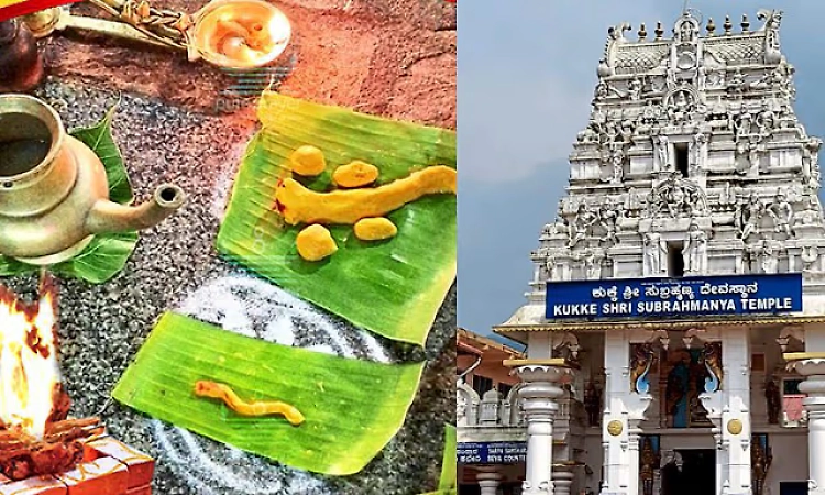 Kukke Subrahmanya temple: Sarpa Samskara service stopped from Nov 14 to Dec 2