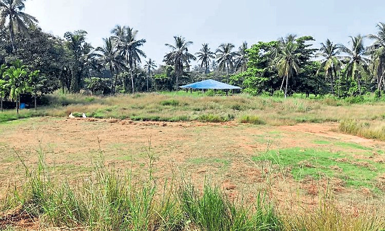 Mangaluru to get two new parks at an estimated cost of Rs 4.50 crore