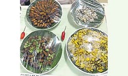 Grasshopper kebab, other insect-based foods showcased at Bengaluru krishi mela