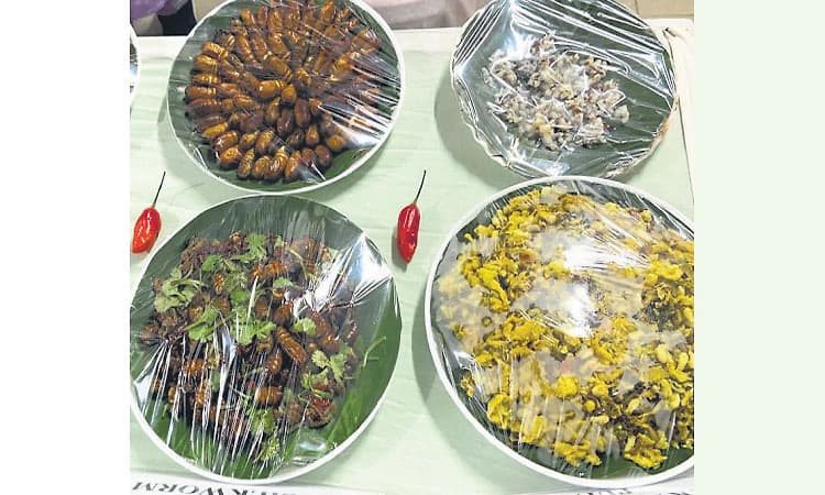 Bengaluru; ಕೃಷಿ ಮೇಳದಲ್ಲಿ ಕೀಟ ಖಾದ್ಯ: ಪೌಷ್ಟಿಕಾಂಶಕ್ಕೆ ಮಿಡತೆ ಕಬಾಬ್‌!