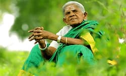 ವೃಕ್ಷಮಾತೆ ಪದ್ಮಶ್ರೀ ಪುರಸ್ಕೃತೆ ಸಾಲು ಮರದ ತಿಮ್ಮಕ್ಕ ಇನ್ನಿಲ್ಲ