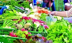 ಶೇ.1.21ಕ್ಕೆ ಇಳಿಕೆಯಾದ ಸಗಟು ಹಣದುಬ್ಬರ: 27 ತಿಂಗಳ ಕನಿಷ್ಠಕ್ಕೆ ಕುಸಿತ