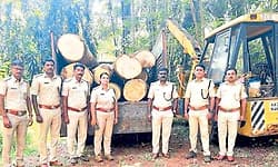 Sullia: ಅರಣ್ಯಾಧಿಕಾರಿಗಳ ಕಾರ್ಯಾಚರಣೆ: ಮರ ಸಾಗಾಟ ಪತ್ತೆ