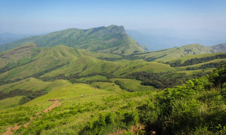 Trekking temporarily banned in Kudremukh Wildlife Division to prevent forest fires
