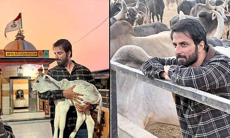 Sonu Sood: ಗೋಶಾಲೆಗೆ 22 ಲಕ್ಷ ರೂ. ದೇಣಿಗೆ ನೀಡಿದ ನಟ‌ ಬಾಲಿವುಡ್‌ ನಟ ಸೋನು ಸೂದ್