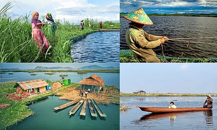 Champu Khangpok: ನೀರಿನ ಮೇಲೆ ತೇಲುವ ಭಾರತದ ಏಕೈಕ ಗ್ರಾಮ; ಇಲ್ಲಿನ ಜನಜೀವನವೇ ವಿಶೇಷ!