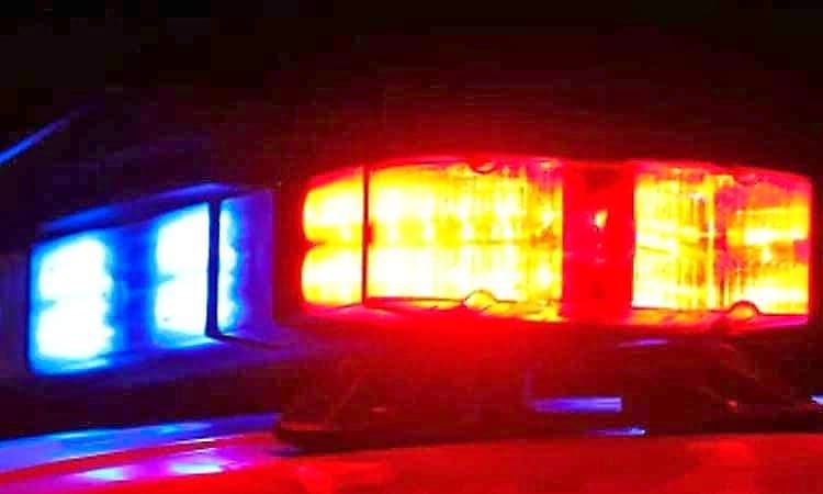 ಬೈಲೂರು ಪರಶುರಾಮ ಥೀಮ್ ಪಾರ್ಕ್ ನಲ್ಲಿ ಫ್ಯಾನ್ ಕಳವು: ಅಪ್ರಾಪ್ತರ ವಿರುದ್ಧ ಪ್ರಕರಣ ದಾಖಲು