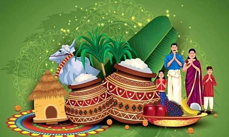 ರಾಜ್ಯದೆಲ್ಲೆಡೆ ಮಕರ ಸಂಕ್ರಾಂತಿ ಸಡಗರ