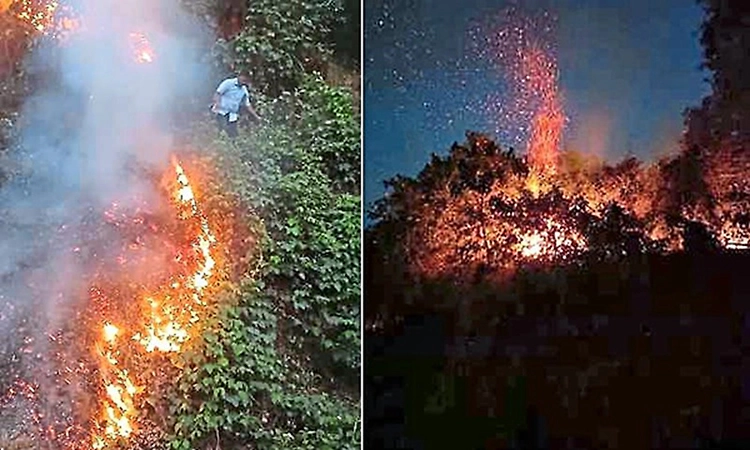 Fire breaks out on hillock in Mundaje, rubber plantation damaged