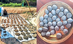 Manipal: ಮಹಾ ಶಿವರಾತ್ರಿಗೆ ವಿಭೂತಿ ತಯಾರಿ ಸಡಗರ