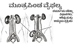 ಮೂತ್ರಪಿಂಡ ವೈಫ‌ಲ್ಯ: ಪರ್ಯಾಯ ಚಿಕಿತ್ಸಾ ವಿಧಾನಗಳು, ಅರಿವು ಮತ್ತು ಆಯ್ಕೆಯ ಪ್ರಕ್ರಿಯೆ