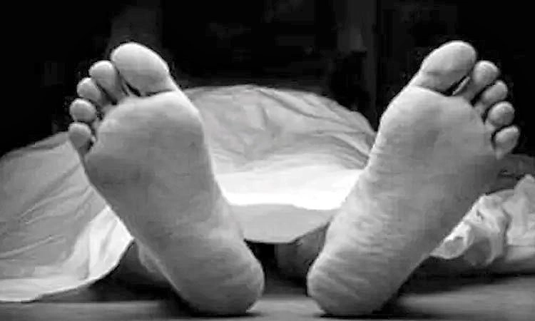 ಶೆಟ್ರಕಟ್ಟೆ : ತೆಂಗಿನ ಮರದಿಂದ ಬಿದ್ದು ವ್ಯಕ್ತಿ ಸಾವು  