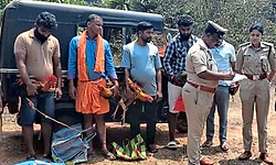 Uppinangady: ಕೋಳಿ ಅಂಕಕ್ಕೆ ದಾಳಿ  