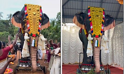PETA India donates mechanical elephant to temple in Kerala for Vishu