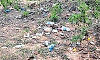 Plastic menace in Karkala: Waste piles found around historic Chaturmukha Basadi