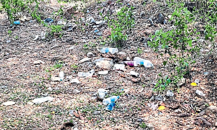 Plastic menace in Karkala: Waste piles found around historic Chaturmukha Basadi