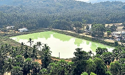 Kali lake becomes a life saver for Polali