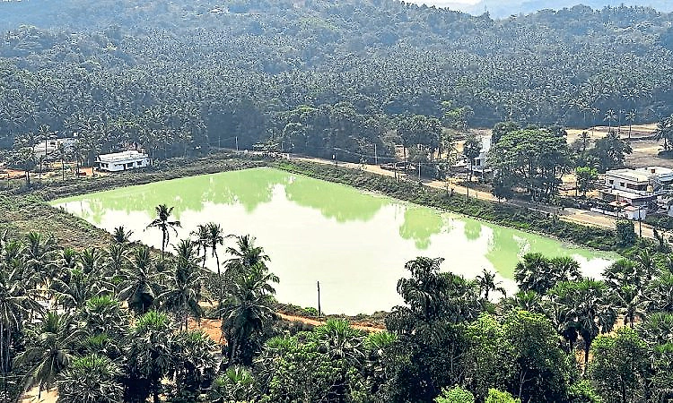 Kali lake becomes a life saver for Polali