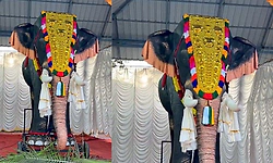 Thrissur: ಕೇರಳದ ದೇವಸ್ಥಾನಕ್ಕೆ ಪೆಟಾ ಇಂಡಿಯಾದಿಂದ ‘ಯಾಂತ್ರಿಕ ಆನೆ’ ಕೊಡುಗೆ