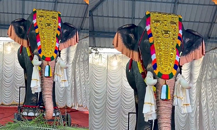 Thrissur: ಕೇರಳದ ದೇವಸ್ಥಾನಕ್ಕೆ ಪೆಟಾ ಇಂಡಿಯಾದಿಂದ ‘ಯಾಂತ್ರಿಕ ಆನೆ’ ಕೊಡುಗೆ