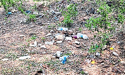 ಕಾರ್ಕಳದಲ್ಲಿ ಪ್ಲಾಸ್ಟಿಕ್‌ ಹಾವಳಿ