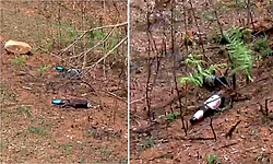 Chikkamagaluru: ಕಾಫಿನಾಡಲ್ಲೂ ದೇವಸ್ಥಾನ ಅಪವಿತ್ರತೆ, ಭಕ್ತರ ಆಕ್ರೋಶ