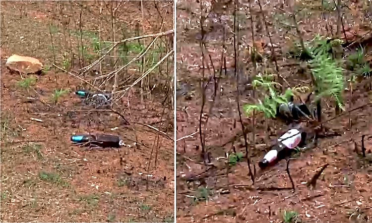 Chikkamagaluru: ಕಾಫಿನಾಡಲ್ಲೂ ದೇವಸ್ಥಾನ ಅಪವಿತ್ರತೆ, ಭಕ್ತರ ಆಕ್ರೋಶ